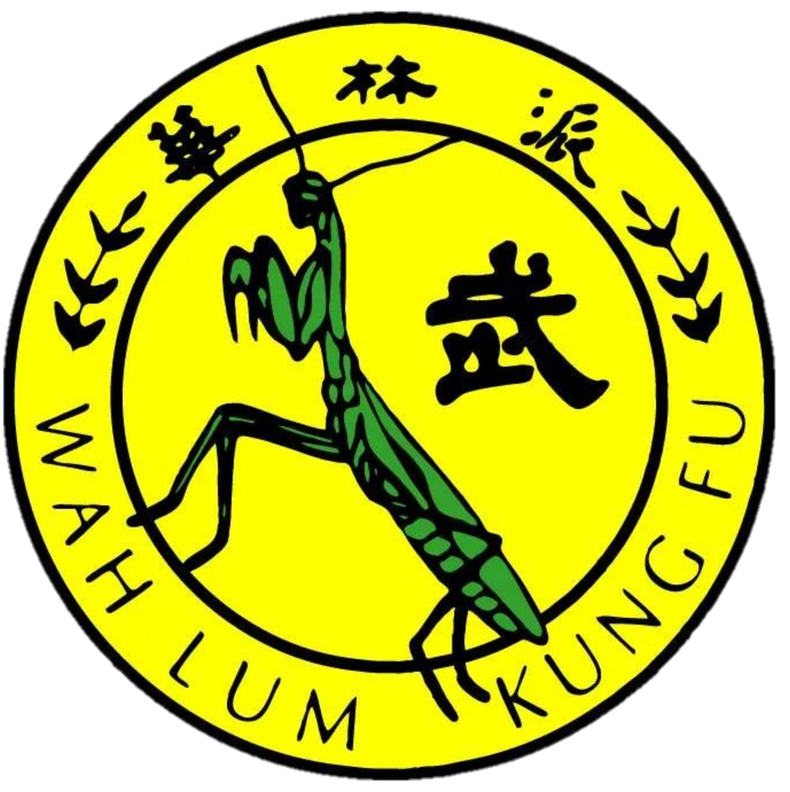 Wahlum Kungfu & Taichi of Dallas
